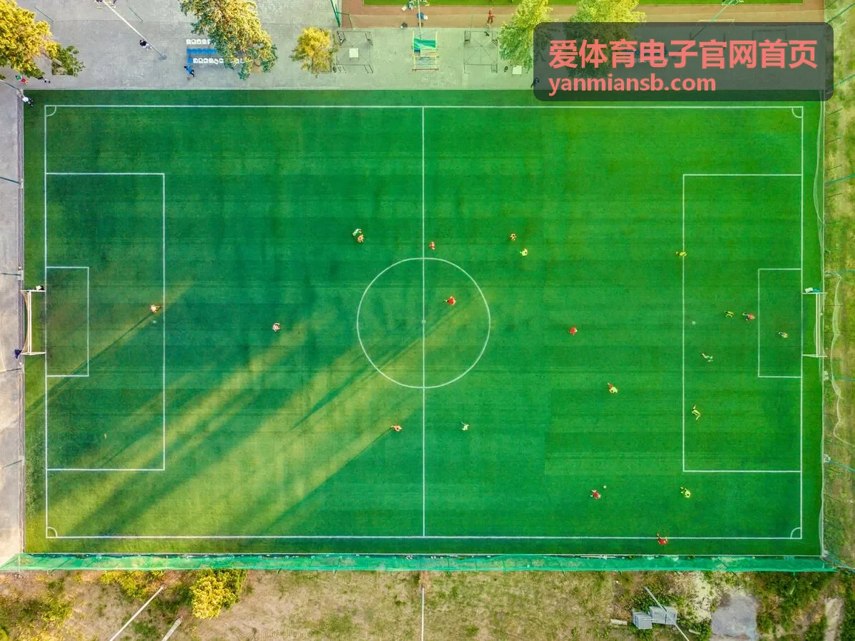 爱体育电子游泳计时触板与发令装置安装现场